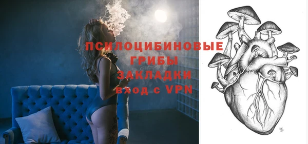 гидра Зеленодольск