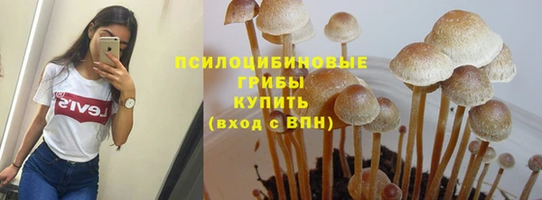 первитин Зерноград