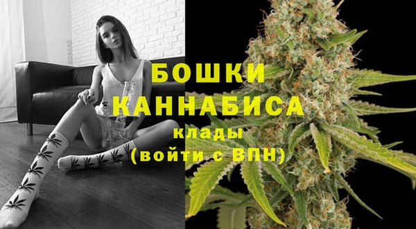 твердый Инта