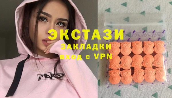apvp Инсар