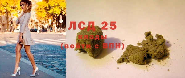 гидра Зеленодольск