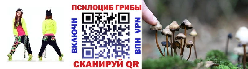 Псилоцибиновые грибы Psilocybe Купить Медвежьегорск